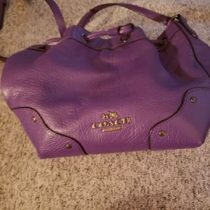 Small Coach Bag